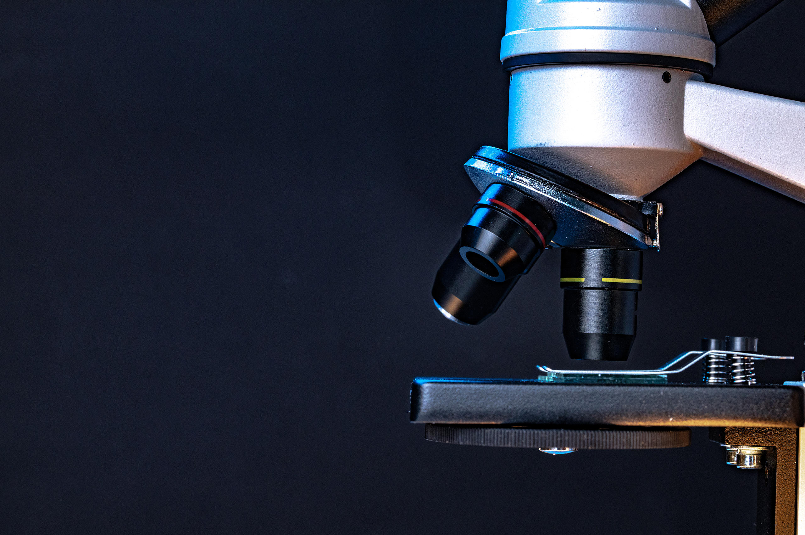 Il Microscopio